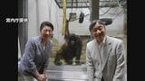 天皇皇后両陛下 動物園での“3ショット”公開 オランウータンやホッキョクグマと満面の笑顔 陛下の私物カメラで|TBS NEWS DIG