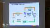 宮崎ガスが「カーボン・オフセット都市ガス」の販売を開始|TBS NEWS DIG