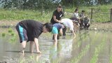 子ども食堂を支援 田植え体験イベント 秋には約300kgの米を収穫見込み | 山梨のニュース | UTYテレビ山梨