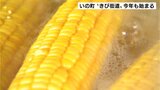 「親戚にお土産で持っていこうかなと」黄金色にキラキラと 高知県いの町“きび街道”今年も始まる | 高知のニュース・天気|KUTV NEWS | KUTVテレビ高知