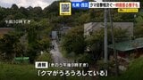 【ヒグマ警報】札幌市西区の住宅街で、9日夜クマ目撃相次ぐ 体長約1メートルのクマが道路横切る | 北海道のニュース|HBC北海道放送
