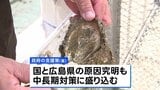 瀬戸内海の養殖カキ大量死　政府が実質無利子融資で支援へ|TBS NEWS DIG