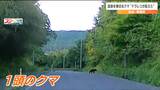 ドラレコがとらえた「道路を横切るクマ」車を運転中にクマに遭遇したらどうしたら良いのか？専門家に聞いてみると…　|　宮城のニュース│tbc NEWS│tbc東北放送