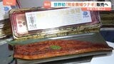 1尾あたり4860円「完全養殖ウナギ」29日から世界初の一般販売 ウナギ生産の救世主となるか|TBS NEWS DIG