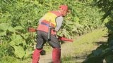 「妻と次男がはぐれた」釣りに行った40代母親と7歳息子が遭難 携帯繋がらず…約40人態勢で捜索 警察犬やハンターも同行 | 北海道のニュース|HBC北海道放送