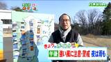 「春の3K(強風・乾燥・花粉)に注意が必要、特に風は警報級のおそれも」宮城の30秒天気　tbc気象台　15日　|　宮城のニュース│tbc NEWS│tbc東北放送