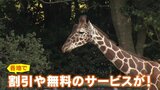 祝日じゃないけど学校休み…愛知で去年に続く “県民の日学校ホリデー” 無料や割引サービスも 家族の本音は? | 名古屋・愛知・岐阜・三重のニュース【CBC news】 | CBC web