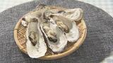 海のミルク「カキ」何個まで食べて大丈夫？担当者オススメは天ぷら【市場で旬みっけ！】|TBS NEWS DIG