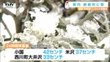 きょうの県内は多くのところで雪や雨 置賜では今夜遅くにかけ大雪に警戒(山形) | 山形のニュース│TUYテレビユー山形