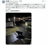 町が公式Xに投稿のクマ画像「生成AIフェイク」だった 注意喚起もその後 偽物と判明「作成者本人から申し出」　宮城・女川町　|　宮城のニュース│tbc NEWS│tbc東北放送