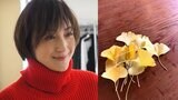 広末涼子さん 「カラフルな落ち葉」 【秋の訪れ】に触れる 「松ぼっくり」「どんぐり」「この季節になると、学校帰りのおみやげで わが家は賑やかになります」|TBS NEWS DIG