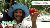 高校生が作る“人気のトマト”が取り放題 保育園児が高校生と収穫体験|TBS NEWS DIG