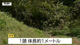 穴から出てきたクマに襲われたか 朝日町で70歳男性がクマに襲われケガ 山菜採りで山に入り、クマに遭遇(山形) |TBS NEWS DIG
