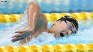 日本新!今福和志が男子800m自由形で7分47秒81 自身の記録を更新【競泳日本選手権】|TBS NEWS DIG