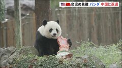 “米中交流の象徴”　ワシントンのジャイアントパンダ　中国に返還| TBS CROSS DIG with Bloomberg