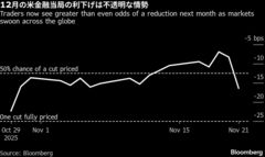 ボストン連銀総裁、12月FOMC会合の投票「まだ決定していない」| TBS CROSS DIG with Bloomberg