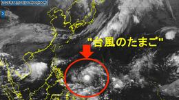 【台風情報】"台風のたまご"発生　24時間以内に台風へ　強い勢力に発達予想　予想進路は？　|　長崎のニュース | 天気 | NBC長崎放送