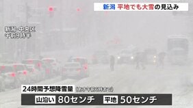 「家から出られないかと思った」日本海側中心に大雪　新潟では24時間に最大80センチの降雪予想　警戒呼びかけ|TBS NEWS DIG