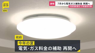 電気・ガス料金の補助　政府が再開検討 7月～9月までの使用分対象の方向| TBS CROSS DIG with Bloomberg