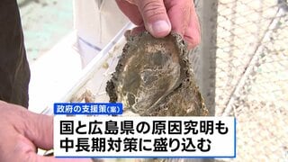 瀬戸内海の養殖カキ大量死　政府が実質無利子融資で支援へ| TBS CROSS DIG with Bloomberg