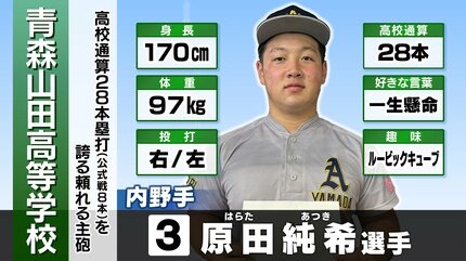 夏の甲子園2024】～青森代表・選手名鑑～「青森山田ナイン 全国制覇を