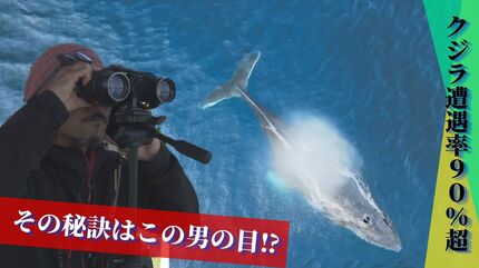 クジラ遭遇率90％超の秘密と『探鯨員』の深～い役割 | 沖縄のニュース