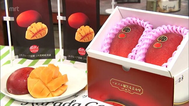 最高値は2玉入りで52万5000円 宮崎県産完熟マンゴー最高級ブランド「太陽のタマゴ」の初競り 県内の外国人留学生に食べてもらった感想は? |TBS NEWS DIG