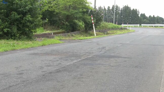 軽トラックと大型トラックが正面衝突　軽トラックの男性が頭などを強く打ち死亡　岩手・奥州市|TBS NEWS DIG