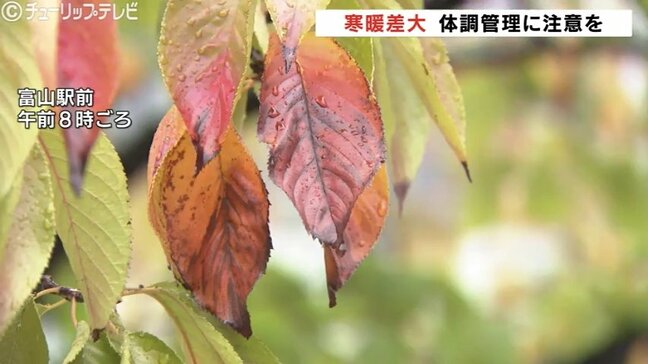 真夏日のきのうから一転 平年並みの気温に 富山で23℃予想|TBS NEWS DIG