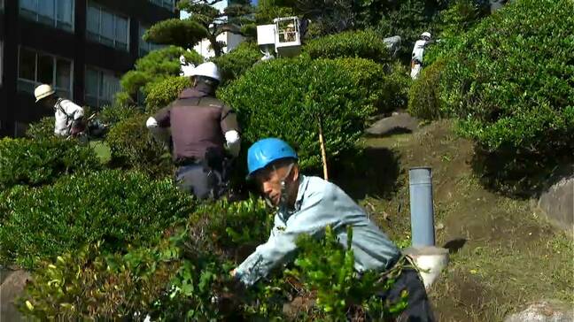 造園技術で西郷隆盛銅像を引き立てる 業界団体がボランティアでせん定・清掃活動|TBS NEWS DIG