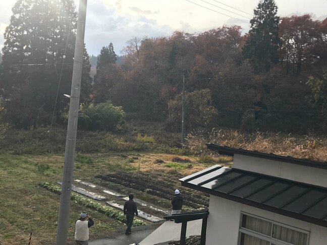 クマは柿の木を降りたり登ったりを繰り返し...飯豊町にクマ1頭出没 一時、緊急銃猟による駆除も検討も行方不明に(山形)|TBS NEWS DIG