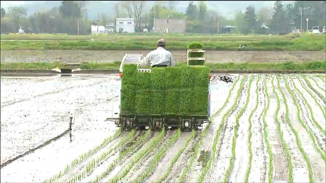 「おいしいコメで豊作になれば」価格高騰続くコメ秋の収穫へ田植え本格化　宮城|TBS NEWS DIG