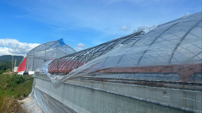【画像あり】台風15号による突風被害か　高知県芸西村で約10棟のビニールハウスが破損　安芸市・香南市・高知市からも被害報告|TBS NEWS DIG