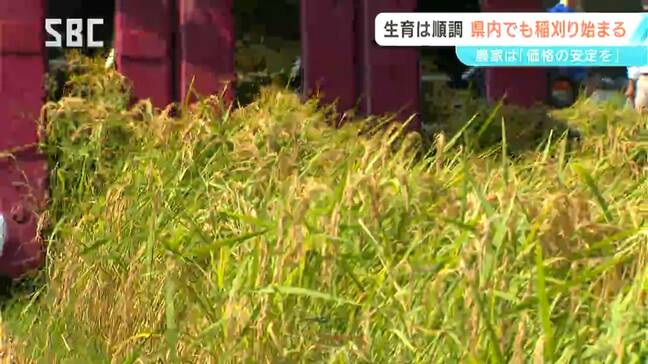 「コメの価格が安定してほしい」早生種の新米の稲刈り始まる　長野・伊那市|TBS NEWS DIG