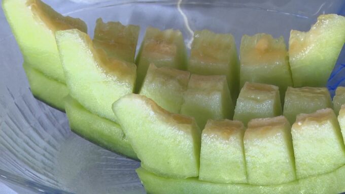 果汁豊富・甘味濃厚「アムスメロン」の季節到来　低温で交配遅れるも…玉太りよし・糖度１４度以上の仕上がりに　|　BSSニュース | BSS山陰放送