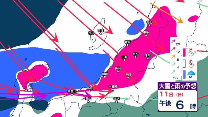 【 新潟の雪は？ 】11日(日)～12日(月祝)の降雪予想は上越・中越で山沿い70cm、平地30cm　警報級大雪の恐れも【15日午後3時までの雪のシミュレーション・10日午前11時更新】　|　新潟のニュース・天気｜BSN NEWS｜BSN新潟放送