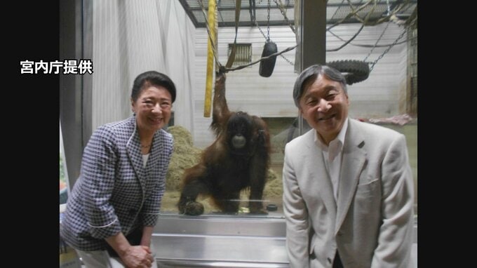 天皇皇后両陛下　動物園での“3ショット”公開　オランウータンやホッキョクグマと満面の笑顔　陛下の私物カメラで|TBS NEWS DIG