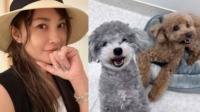 【 いぬ 】瀬戸朝香さんの愛犬サニー＆チョコ　猛暑でも「ニッコリ♥」涼しい室内で笑顔|TBS NEWS DIG