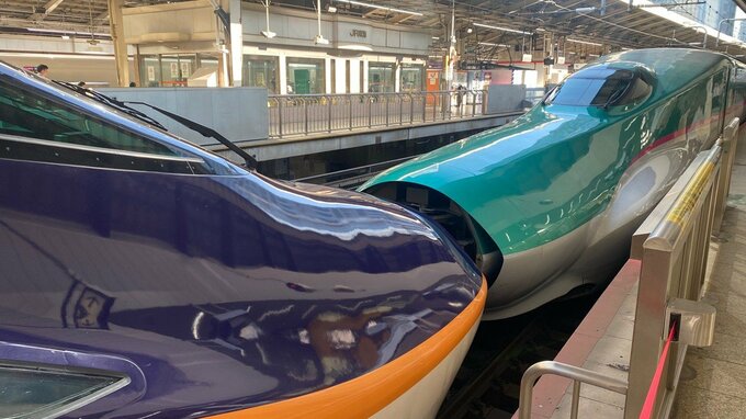 【速報】東北新幹線・山形新幹線　運転再開　倒木撤去完了を受けてJRが発表|TBS NEWS DIG