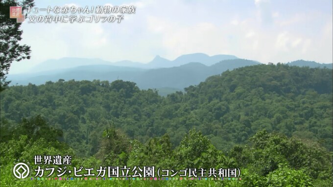 カフジ・ビエガ国立公園