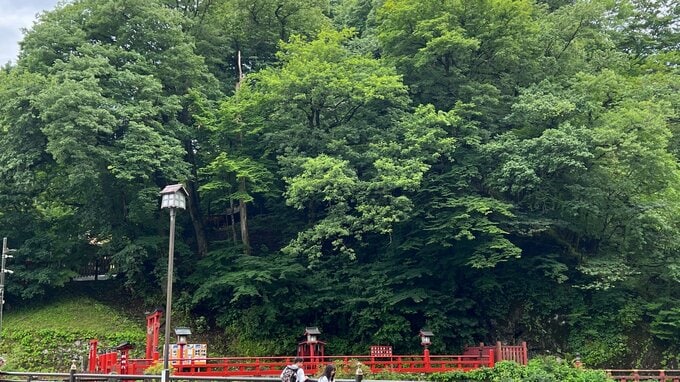 世界遺産「日光の社寺」神橋の近くでクマ目撃　けが人なし|TBS NEWS DIG