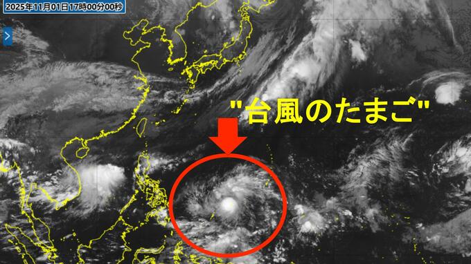 【台風情報】"台風のたまご"発生 24時間以内に台風へ 強い勢力に発達予想 予想進路は? | 長崎のニュース | 天気 | NBC長崎放送