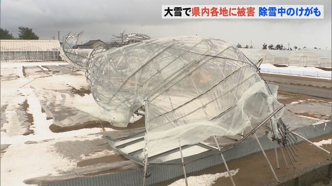 雪や風の影響か 「原型をとどめていない」農業用パイプハウス17棟が破損する被害　|　石川県のニュース｜MRO北陸放送