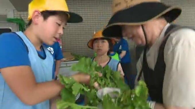 小学生全校児童9人が育てた特産「大野ヶ原大根」を市内で約500本販売 愛媛・西予市|TBS NEWS DIG