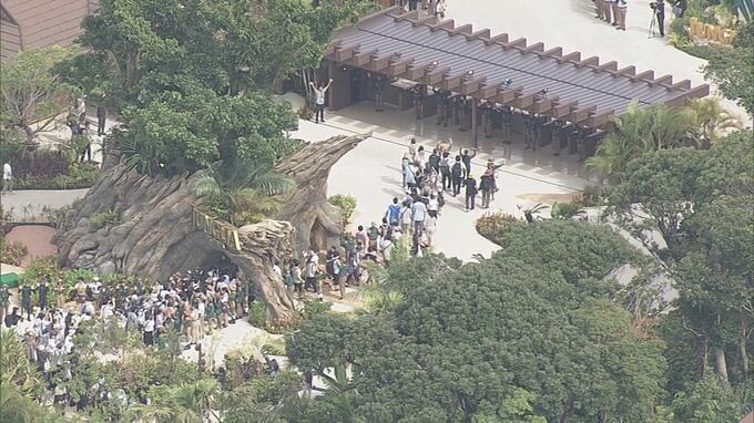 「半年で322億円」ジャングリア沖縄の本島北部地域への経済効果を発表　りゅうぎん総合研究所|TBS NEWS DIG