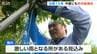 果樹農家が台風対策　|　新潟のニュース・天気｜BSN NEWS｜BSN新潟放送