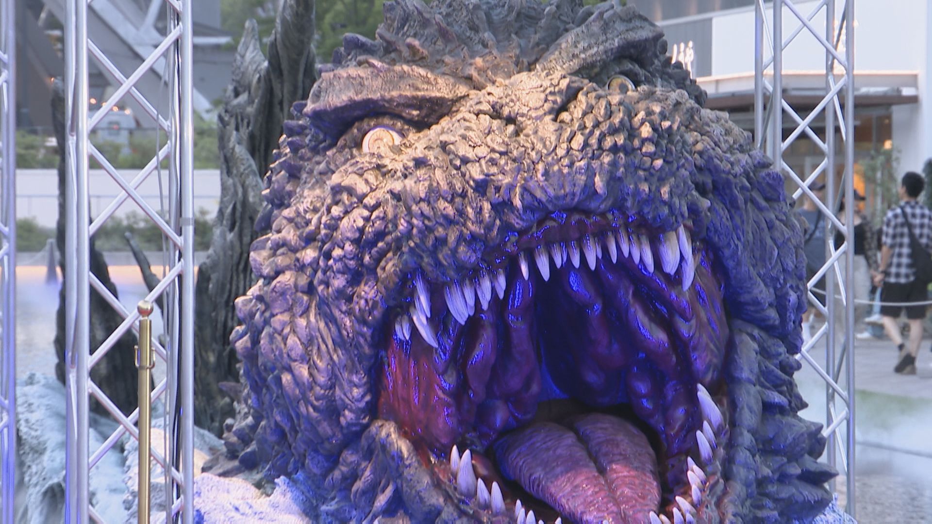 img_3691d2394329dc6d722afa0f85