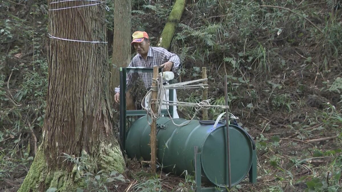 img_36a2378d386a8af23de76eb8d8