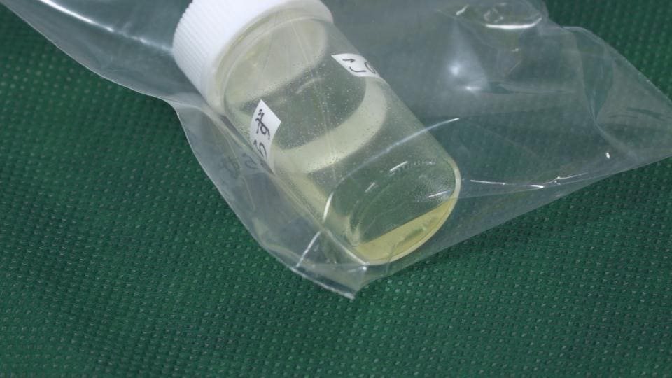 空港での薬物摘発件数は2025年を上回るペース　空港や港で密輸取締の特別警戒期間スタート