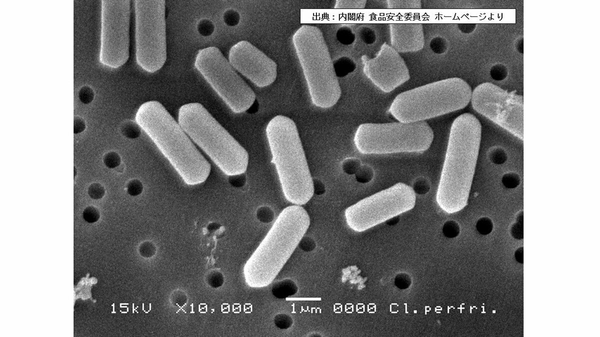 サムネイル_生徒50人に『ウエルシュ菌』の症状 運動部員の食堂で食中毒【新潟県】帝京長岡高校